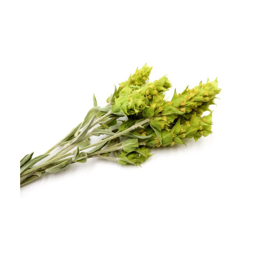 "Chá Grego da Montanha"/Sideritis