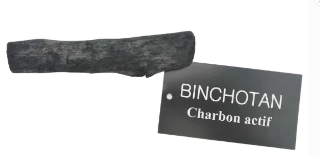 Já conhece o Filtro Natural de Carvão Ativado - Binchotan?
